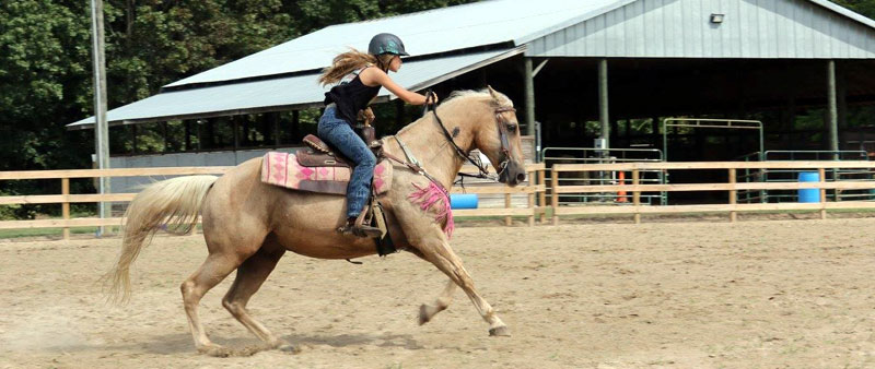 Tri County Horse Show: Oct 7, 2023